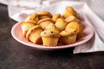 Tasty chocolate muffins. Sweet cupcakes.