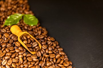Coffee beans on slate plate. Growing coffee. Fresh coffee beans. Traditional hot drink. Fair trade.