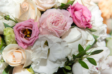 Beautiful rose flowers background