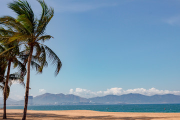 Fototapeta na wymiar Palm trees and the beach and mountains away