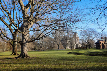 Central Park on a sunny day