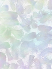 Angelic Feather Background Banner - small random scattered  multicoloured feathers with a film negative effect against a pale grey  background 