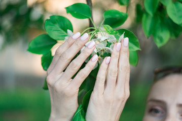 Neat spring manicure. Female hands holding a blossoming apple tree. Naturalness and ecological.