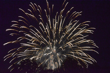 fireworks in the sky