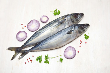 sea fish raw mackerel and onion and spices on a white table selective