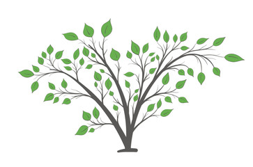 Bush with branches and green leaves of different shapes on a white background