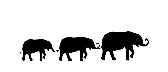 Elefanten Gruppe Silhouette, Vektor illustration isoliert auf weißem Hintergrund