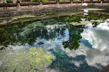 Fototapeta na wymiar Paisaje típico de ruinas de templos y cultivo de arroz de la isla de Bali, cercano a la ciudad de Ubud. 