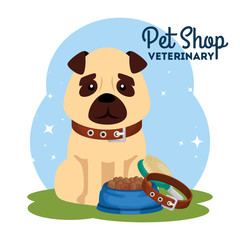pet shop veterinary with cute dog and icons