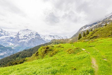 Obraz premium The Swiss Alps at Murren, Switzerland. Jungfrau Region. The valley of Lauterbrunnen from Interlaken.