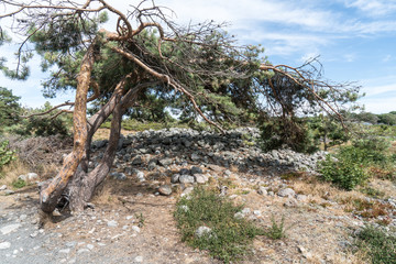 Prähistorische Hügelgräber in Mølen bei Larvik