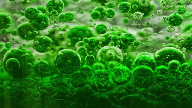 macro shot of a bunch of green bubbles in water moving constantly