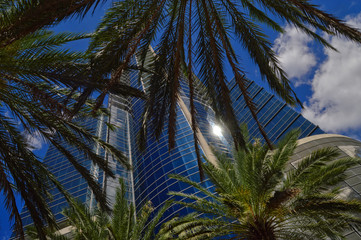 Fototapeta na wymiar Building and Palm Trees