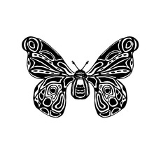 Hand drawn vector illustration of butterfly