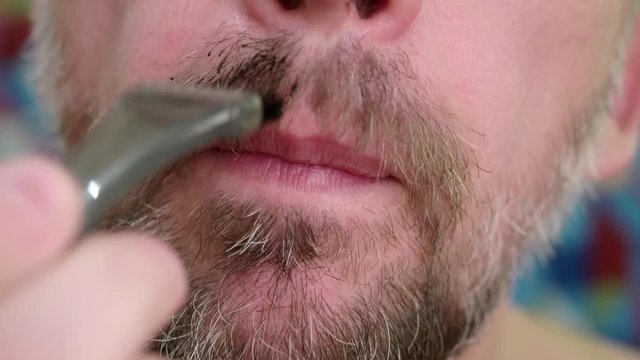 Caucasian man paints his gray beard with brush in black. Extreme close-up view
