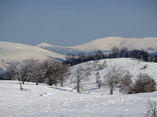 winter in the mountains