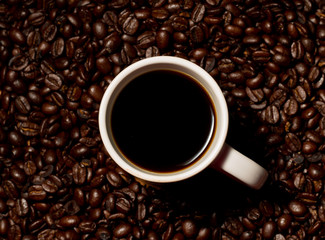 Coffee & coffe seeds