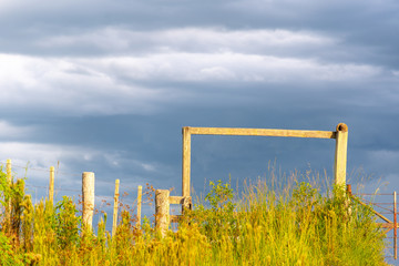 Fototapeta premium The farm gate and the birdhouse furnarius rufus