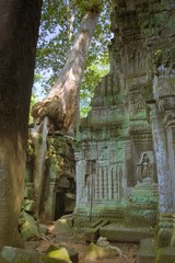 Huge tree growing over a stone gate on the inner courtyard of Ta Prohm temple, in Angkor Wat complex near Siem Reap, Cambodia.
