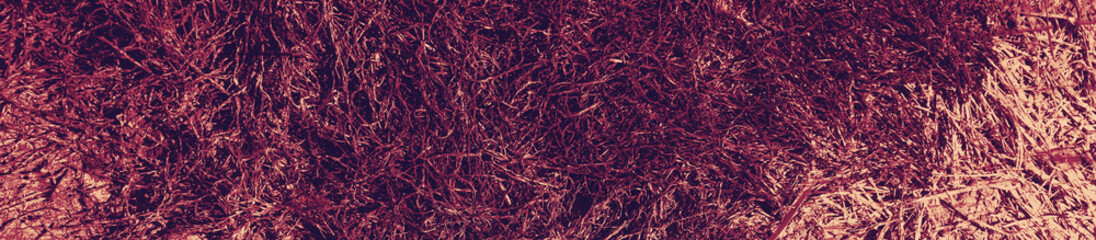 abstract violet and burgundy colors background