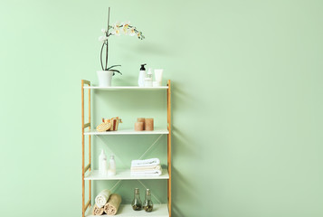 Shelf unit with decor near color wall