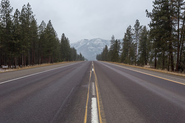 Looking down an empty roadway with tall trees on either side towards a snow capped mountain range