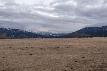 Large snow covered mountain range behind an vast empty pasture with scare trees