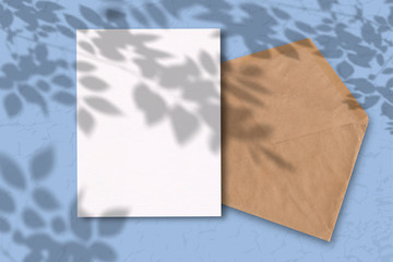 An envelope with a sheet of white paper on a blue background. Mockup with overlay of plant shadows . Natural light casts the shadow of field plants and flowers from above