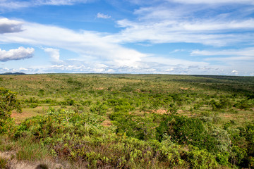 Fototapeta na wymiar The beautiful vegetation of the Brazilian savannah and its exotic landscapes