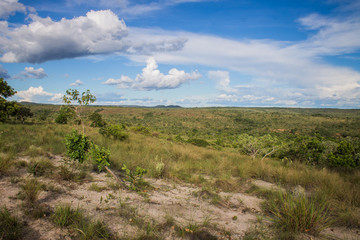 Rural landscape in Minas Gerais, Brazil, featuring cerrado vegetation under a blue sky with some clouds