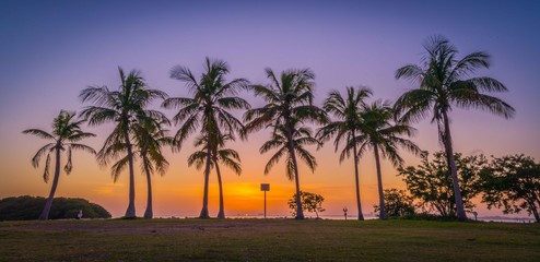 florida sunset orange beach palm tree tropical sky landscape silhouette sunrise sea ocean island nature summer travel tourism sun dusk beautiful coconut © Alberto GV PHOTOGRAP