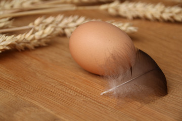 chicken egg lies under a feather on a wooden table against a background of ripe ears of wheat,...