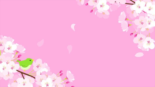 桜の枝とうぐいすの動画　春イメージ動画