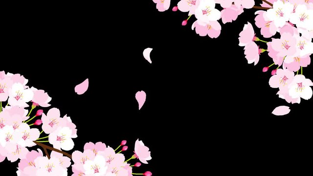 桜の枝が揺れる動画　アルファ付チャンネル　