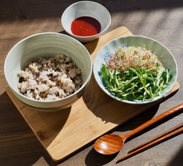 한국의 음식 돌나물 새싹 비빔밥