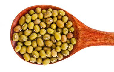 Green lentils in the wooden spoon isolated on a white background. Top view.