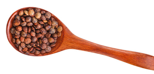 Brown lentils in the wooden spoon isolated on a white background. Top view.