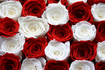 Gorgeous red and white roses bouquet 