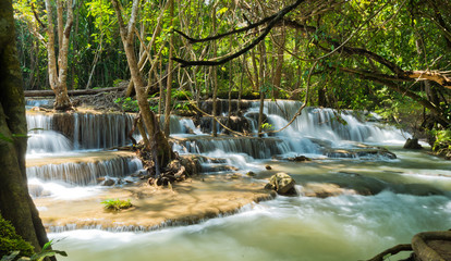 Obraz premium beautiful waterfall, forest background, landscape