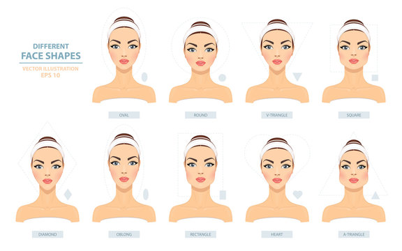 Face Types. Big Set of Different Female Face Shapes on a White Background. Vector Illustration