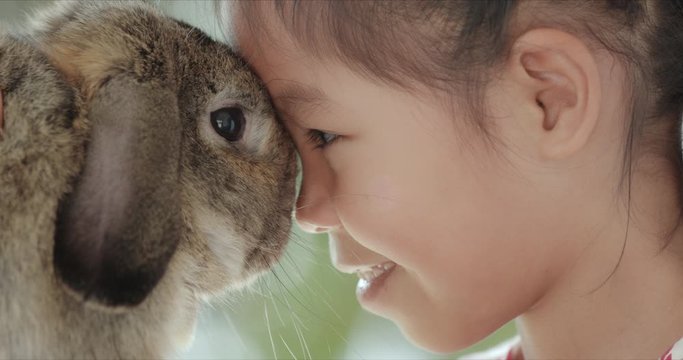 Asian little child girl look in the eyes with little bunny in green tree light bokeh background, eye to eye, extreme close-up, slow motion.