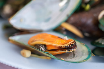Close up steam mussel on shell.	