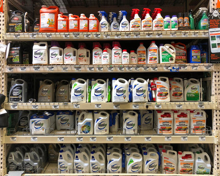 Oakland, CA - August 13, 2018: Garden supply store shelf with containers of RoundUp weed killer. A San Francisco jury just ruled that Roundup gave a former school groundskeeper terminal cancer.