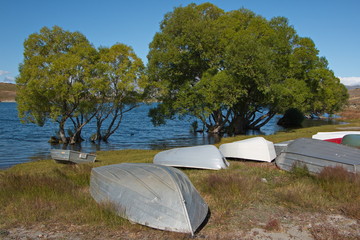 Big trees and boats at the shore of Lake McGregor near Tekapo on South Island of New Zealand