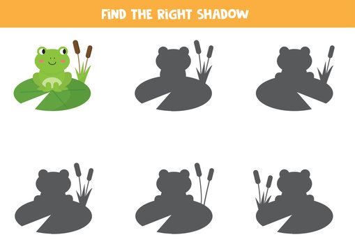 Find The Right Shadow Of Green Frog. Logical Game For Kids.