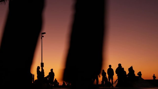 Silhouette of young jumping skateboarder riding longboard, summer sunset background. Venice Ocean Beach skatepark, Los Angeles California. Teens on skateboard ramp, extreme park. Group of teenagers