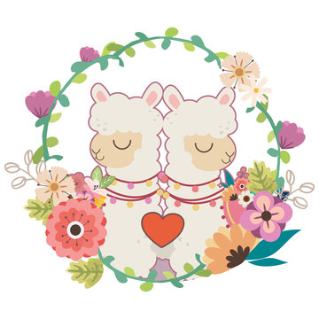 The couple in love of cute alpaca in the flowering. The character of cute alpaca with flowring and heart on the white background. The character of cute alpaca in flat vector.
