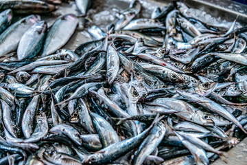 Obraz premium various Inside the fish market of Mercado dos Lavradores, the famous fish and seafood market of Funchal Madeira PORTUGAL