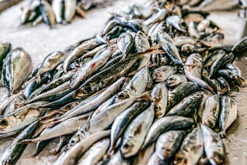 various Inside the fish market of Mercado dos Lavradores, the famous fish and seafood market of Funchal Madeira PORTUGAL