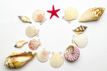 Summer holidays background. Frame of trendy natural organic color seashells, red starfish isolated on white backdrop. Summer is coming concept
